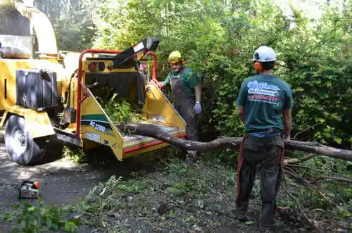 tree services Rantoul